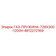 4812272169 ГАЗ-ПРУЖИНА-728X300-1200Н Эпирок