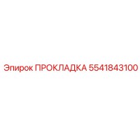 5541843100 ПРОКЛАДКА Epiroc