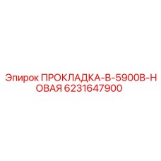 6231647900 Прокладка B-5900B-Новая Эпирок