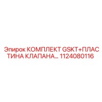 1124080116 КОМПЛЕКТ GSKT+ПЛАСТИНА КЛАПАНА Epiroc