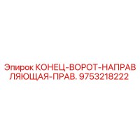 9753218222 КОНЕЦ-ВОРОТ-НАПРАВЛЯЮЩАЯ-ПРАВ. Epiroc