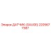 2205677387 ДАТЧИК (GAUGE) Epiroc