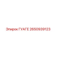 2650939123 ГУАГЕ Epiroc