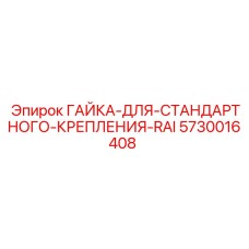 5730016408 ГАЙКА ДЛЯ СТАНДАРТНОГО КРЕПЛЕНИЯ RAI Epiroc