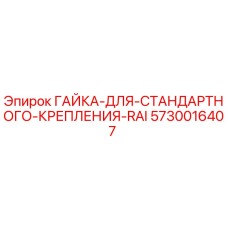 5730016407 ГАЙКА ДЛЯ СТАНДАРТНОГО КРЕПЛЕНИЯ RAI Epiroc