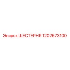 1202673100 ШЕСТЕРНЯ Epiroc