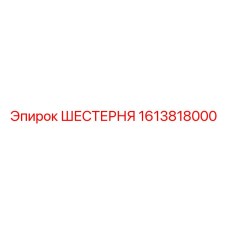 1613818000 ШЕСТЕРНЯ Epiroc