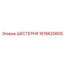 1616620605 ШЕСТЕРНЯ Epiroc