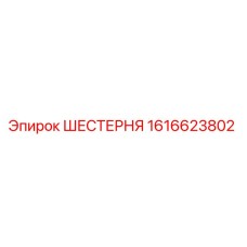 1616623802 ШЕСТЕРНЯ Эпирок