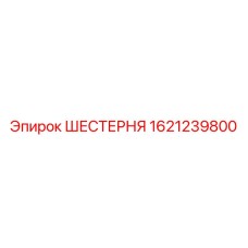 1621239800 ШЕСТЕРНЯ Epiroc