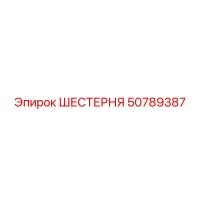 50789387 ШЕСТЕРНЯ Epiroc