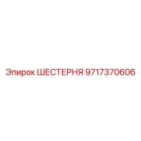 9717370606 ШЕСТЕРНЯ Epiroc