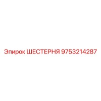 9753214287 ШЕСТЕРНЯ Epiroc