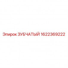 1622369222 ЗУБЧАТЫЙ Epiroc