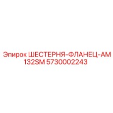 5730002243 ШЕСТЕРНЯ-ФЛАНЕЦ-AM132SM Epiroc