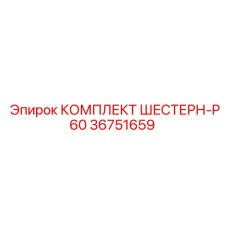 36751659 КОМПЛЕКТ ШЕСТЕРН-P60 Epiroc