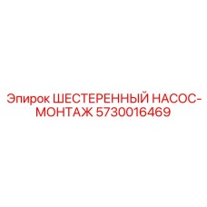 5730016469 ШЕСТЕРЕННЫЙ НАСОС-МОНТАЖ Epiroc