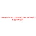 1626416901 ШЕСТЕРНЯ-ШЕСТЕРНЯ Epiroc