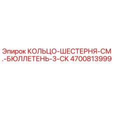 4700813999 КОЛЬЦО-ШЕСТЕРНЯ-СМ.-БЮЛЛЕТЕНЬ-3-CK Epiroc