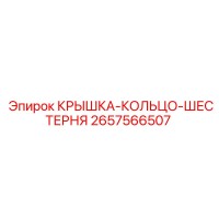 2657566507 КРЫШКА-КОЛЬЦО-ШЕСТЕРНЯ Epiroc