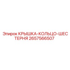 2657566507 КРЫШКА-КОЛЬЦО-ШЕСТЕРНЯ Epiroc