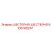 9106108247 ШЕСТЕРНЯ-ШЕСТЕРНЯ Epiroc