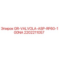 2202211057 GR-VALVOLA-ASP-RF60-100NA Epiroc