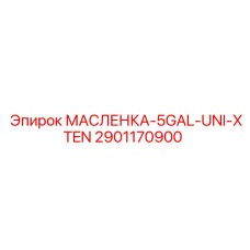 2901170900 МАСЛЕНКА-5GAL-UNI-XTEN - Epiroc