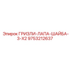 9753212637 ГРИЗЛИ-ЛАПА-ШАЙБА-3-X2 Epiroc