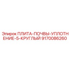 ПЛИТА-ПОЧВЫ-УПЛОТНЕНИЕ-5-КРУГЛЫЙ 9170086260 Эпирок (Epiroc)