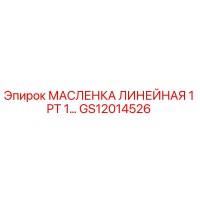 GS12014526 МАСЛЕНКА ЛИНЕЙНАЯ 1 PT 1… | Epiroc