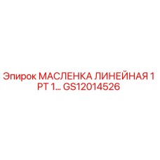 GS12014526 МАСЛЕНКА ЛИНЕЙНАЯ 1 PT 1… | Epiroc