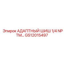GS12015497 АДАПТНЫЙ ШИШ 1/4 NPTM… | Epiroc
