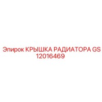 GS12016469 КРЫШКА РАДИАТОРА Epiroc