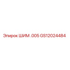 GS12024484 ШИМ .005 Epiroc
