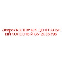 GS12036396 КОЛПАЧОК ЦЕНТРАЛЬНЫЙ КОЛЕСНЫЙ Epiroc