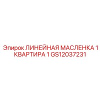 GS12037231 ЛИНЕЙНАЯ МАСЛЕНКА 1 КВАРТИРА 1 | Epiroc