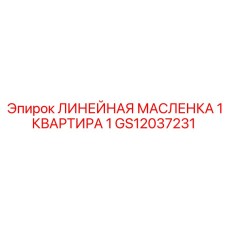 GS12037231 ЛИНЕЙНАЯ МАСЛЕНКА 1 КВАРТИРА 1 | Epiroc