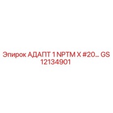 GS12134901 АДАПТ 1 NPTM X #20… Epiroc
