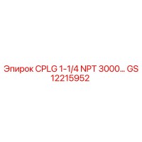 GS12215952 CPLG 1-1/4 NPT 3000 Epiroc