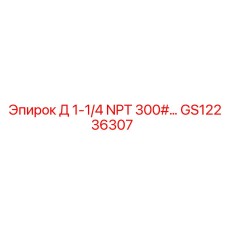 GS12236307 Д 1-1/4 NPT 300# Epiroc