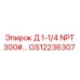 GS12236307 Д 1-1/4 NPT 300# Epiroc