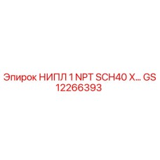 GS12266393 НИПЛ 1 NPT SCH40 X Epiroc