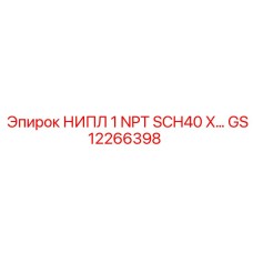 GS12266398 НИПЛ 1 NPT SCH40 X Epiroc