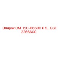 GS12266600 СМ. 120-66600 Л 5… | Epiroc