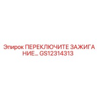 GS12314313 ПЕРЕКЛЮЧИТЕЛЬ ЗАЖИГАНИЯ Epiroc
