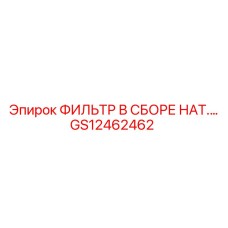 GS12462462 ФИЛЬТР В СБОРЕ НАТ. Epiroc