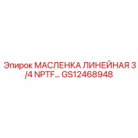 GS12468948 МАСЛЕНКА ЛИНЕЙНАЯ 3/4 NPTF… | Epiroc