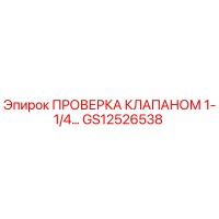 GS12526538 ПРОВЕРКА КЛАПАНОМ 1-1/4