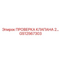 GS12567303 ПРОВЕРКА КЛАПАНА 2 Epiroc